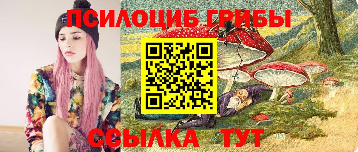 Галлюциногенные грибы MAGIC MUSHROOMS  Галлюциногенные грибы Cubensis  как найти закладки  Вход с VPN  Кореновск 
